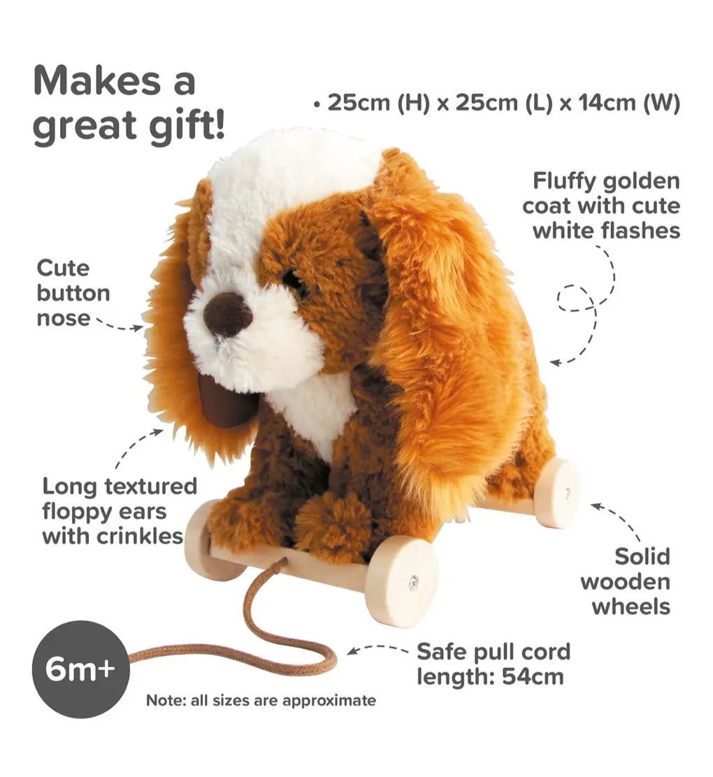 Little Bird Told Me Peanut Pull Along