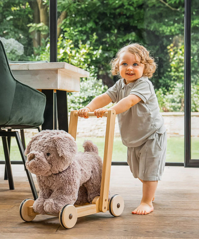 Little Bird Told Me Push Along Bailey Dog 9m+