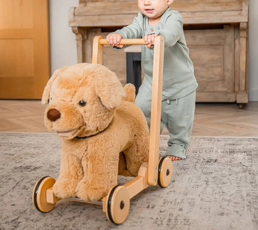 Little Bird Told Me Push Along Dexter Dog