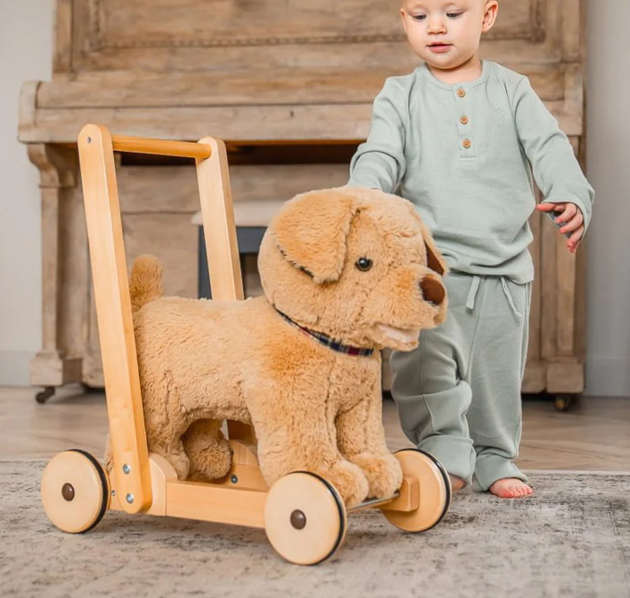 Little Bird Told Me Push Along Dexter Dog