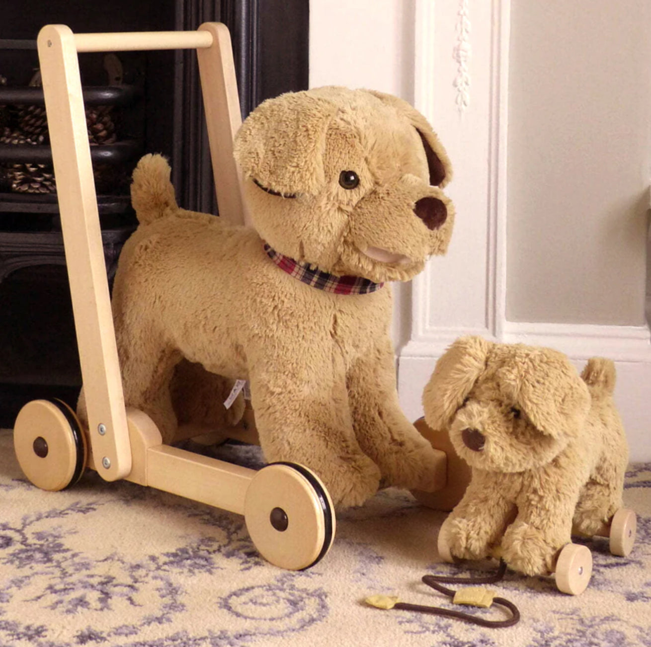 Little Bird Told Me Push Along Dexter Dog