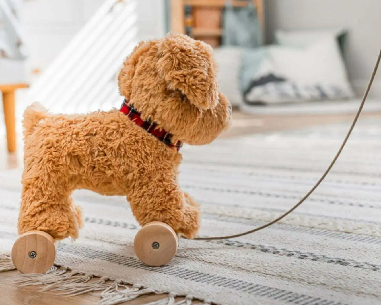 Little Bird Told Me Dexter Dog Pull Along