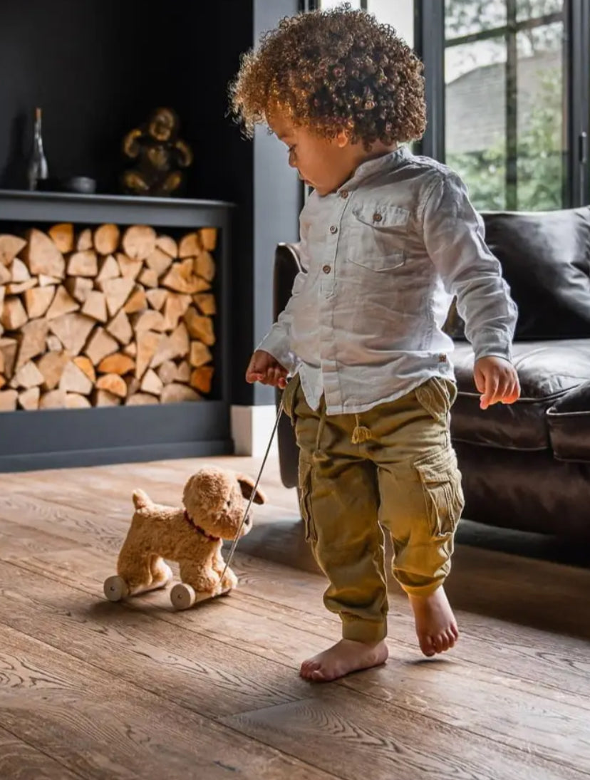 Little Bird Told Me Dexter Dog Pull Along