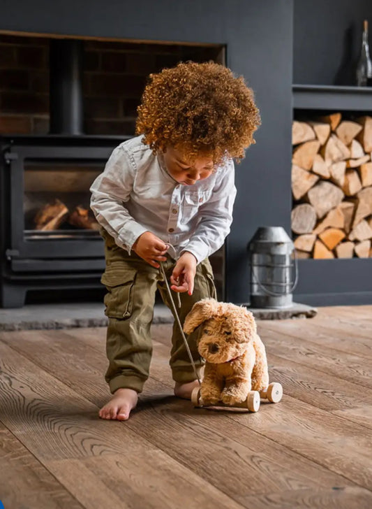 Little Bird Told Me Dexter Dog Pull Along