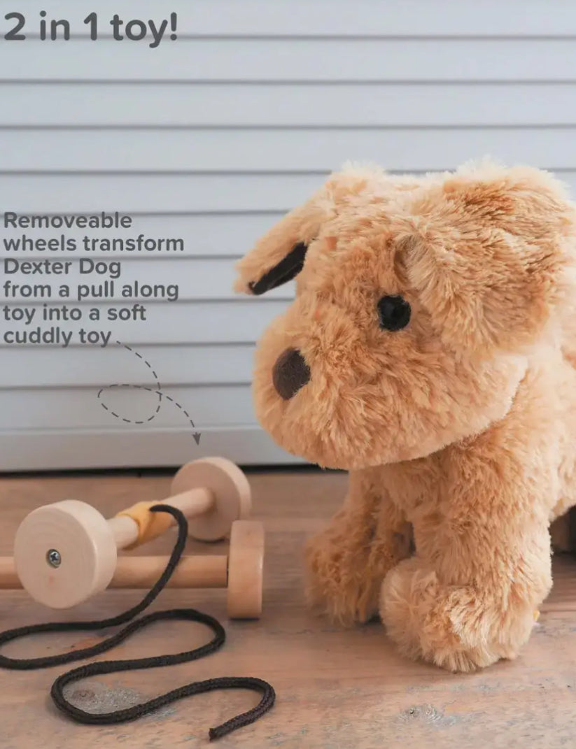 Little Bird Told Me Dexter Dog Pull Along