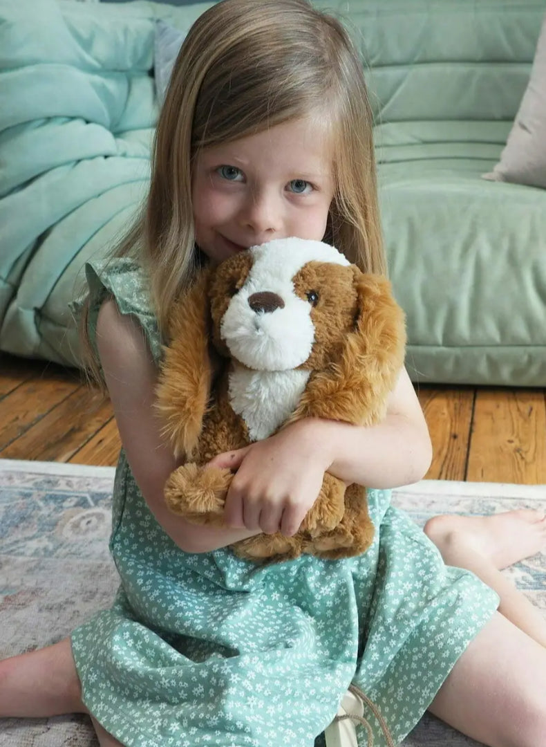 Little Bird Told Me Peanut Pull Along