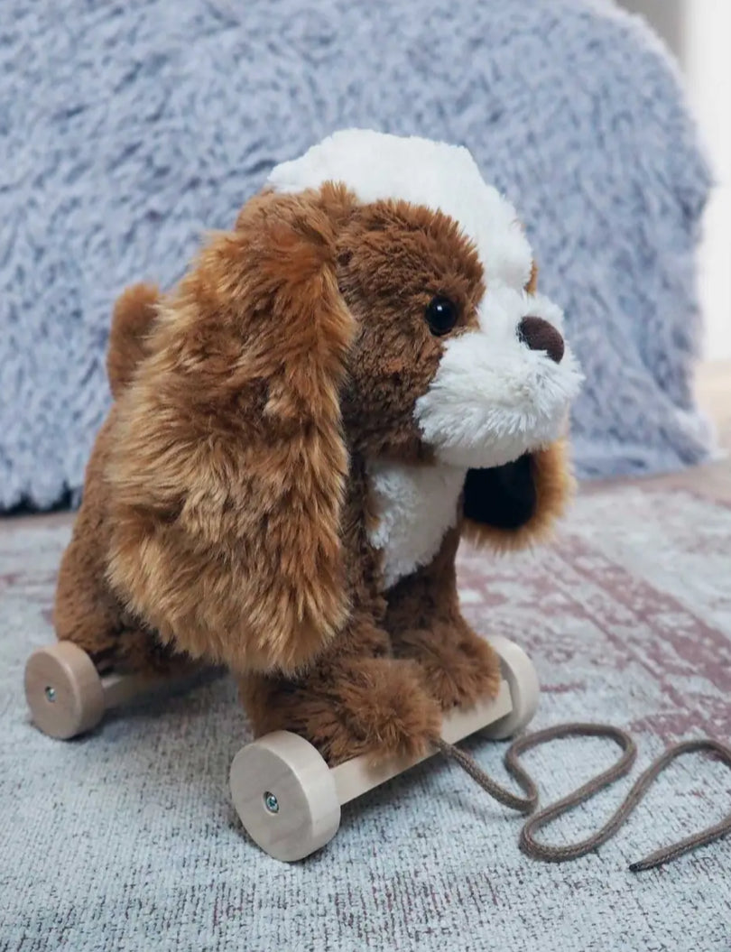 Little Bird Told Me Peanut Pull Along