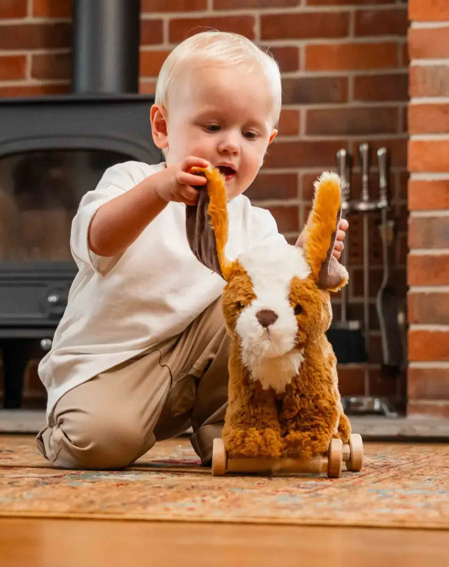 Little Bird Told Me Peanut Pull Along