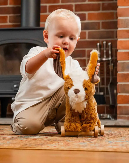 Little Bird Told Me Peanut Pull Along