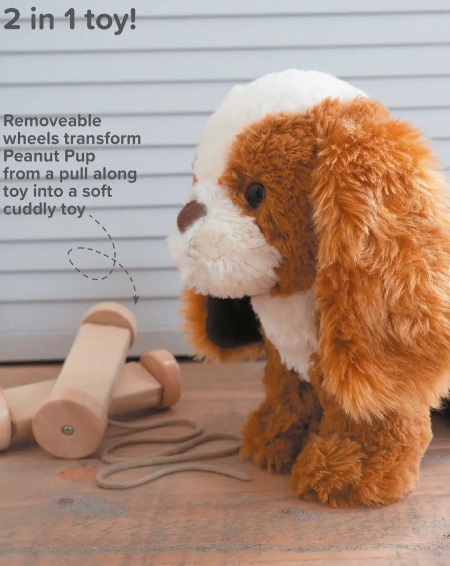 Little Bird Told Me Peanut Pull Along